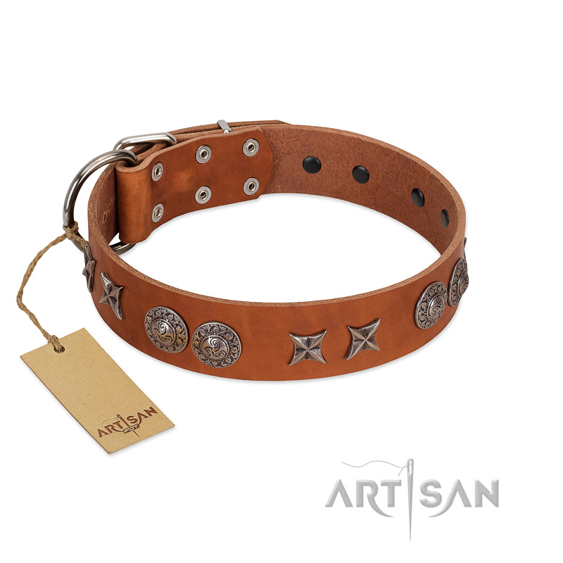 "Splendid Armor" Premium Quality FDT Artisan Tan Designer Rottweiler Collar with Shields and Stars