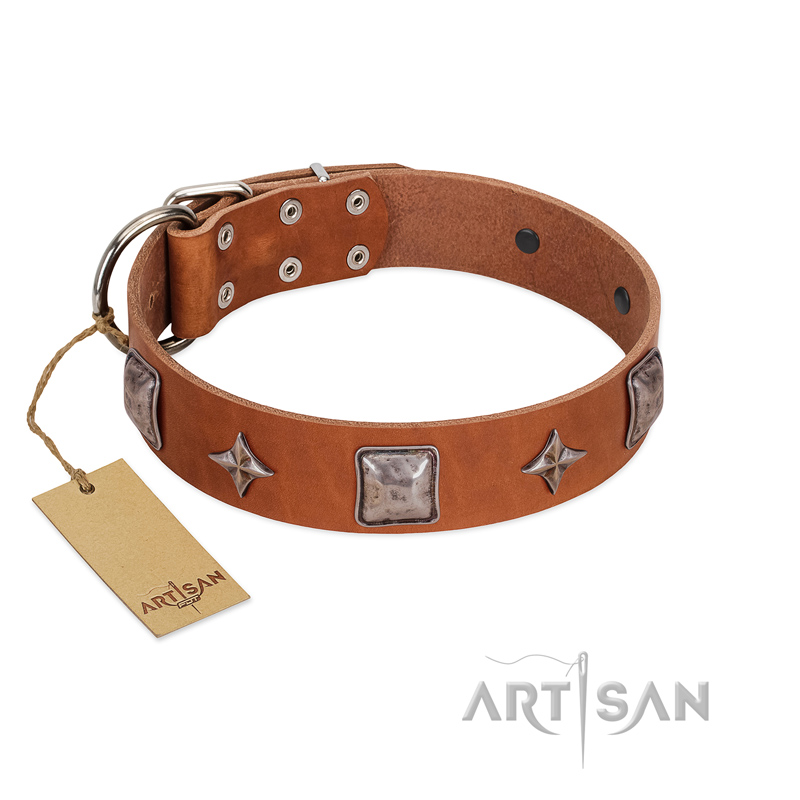 "Lucky Star" FDT Artisan Tan Leather Rottweiler Collar with Silver-Like Embellishments