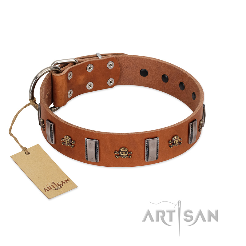 "Golden Crossbones" Handmade FDT Artisan Tan Leather Rottweiler Collar with Plates and Skulls