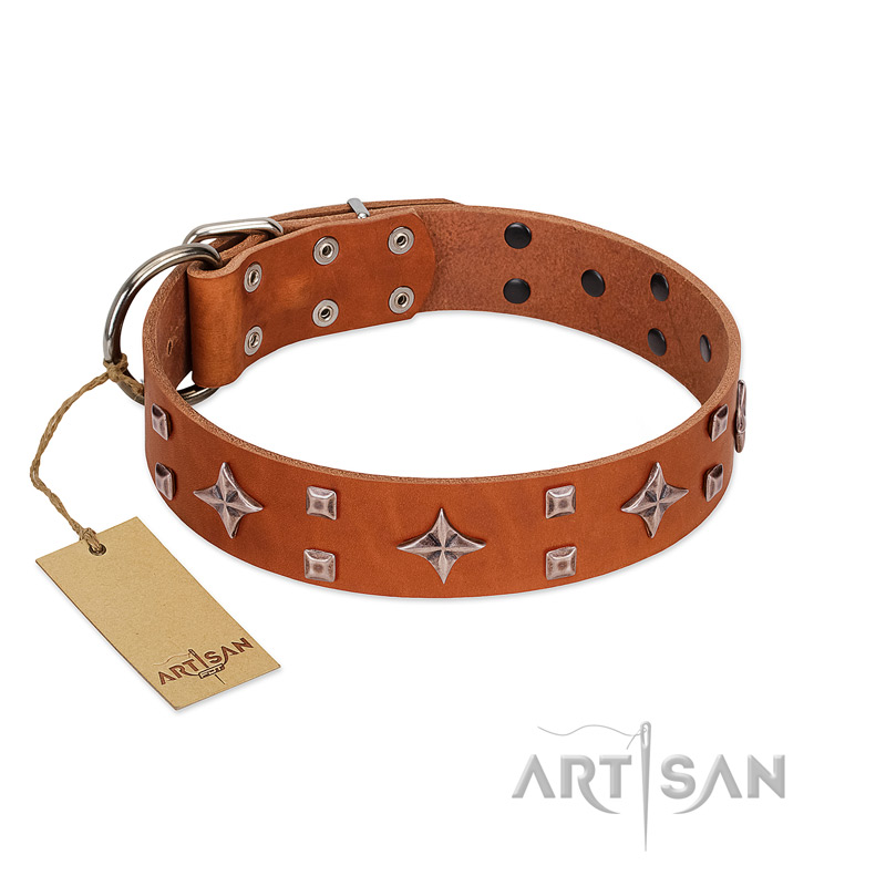 "Tawny Beauty" FDT Artisan Tan Leather Rottweiler Collar Adorned with Stars and Tiny Squares