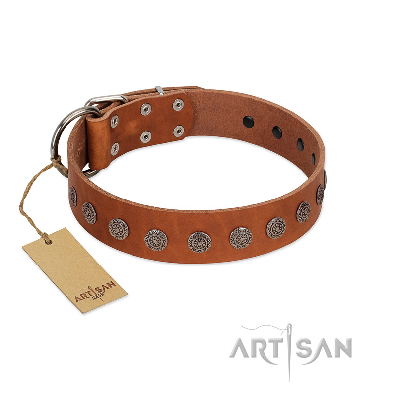 "Lucky Star" Handmade FDT Artisan Designer Tan Leather Rottweiler Collar with Round Plates