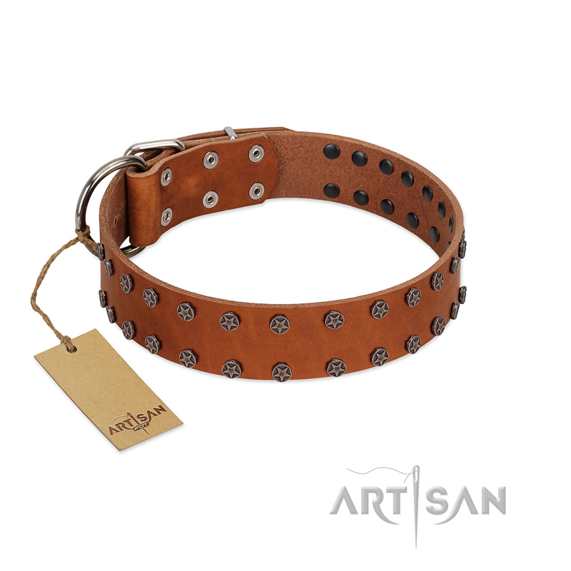 "Star Light" Stylish FDT Artisan Tan Leather Rottweiler Collar with Silver-Like Studs