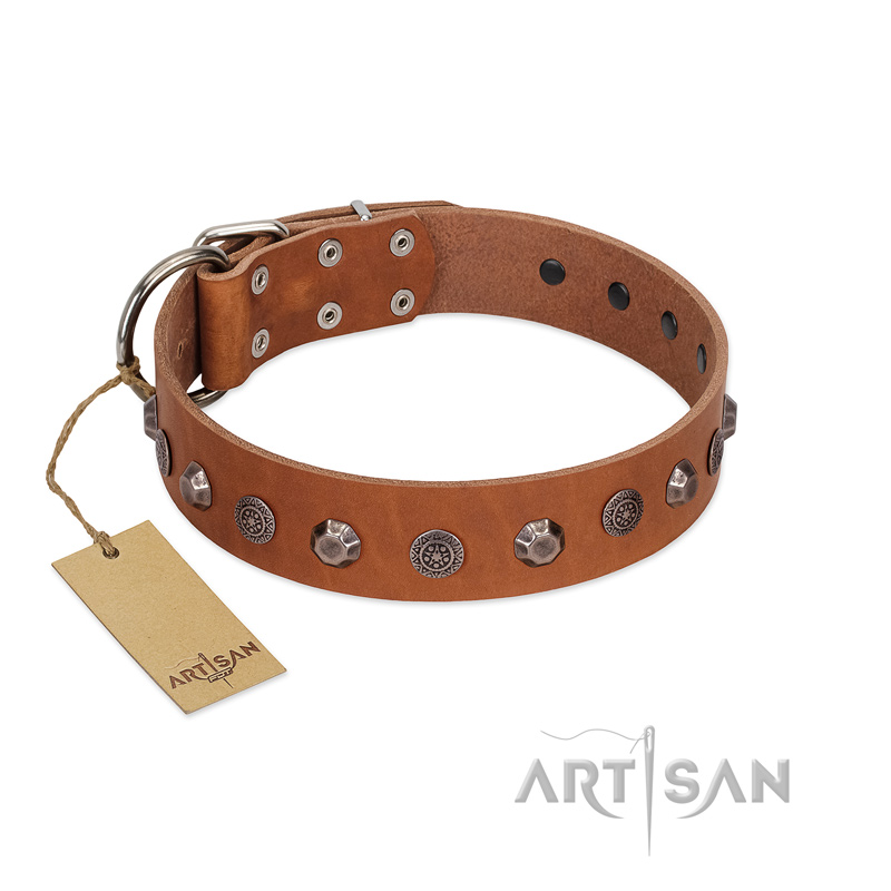 "Silver Age" Fashionable FDT Artisan Tan Leather Rottweiler Collar with Silver-Like Studs