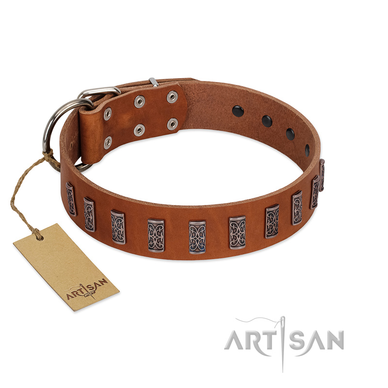 "Silver Century" Fashionable FDT Artisan Tan Leather Rottweiler Collar with Silver-Like Plates