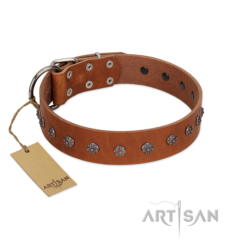 "Daintiness" Designer Handmade FDT Artisan Tan Leather Rottweiler Collar with Silver-Like Adornments