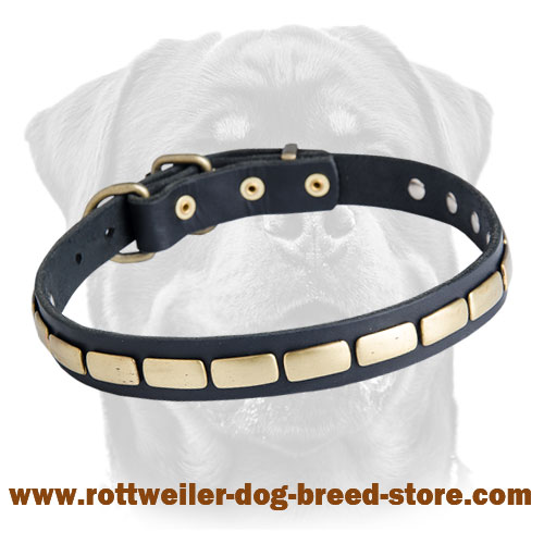 Special Leather Dog Collar Adorned with Brass Plates for Rottweiler