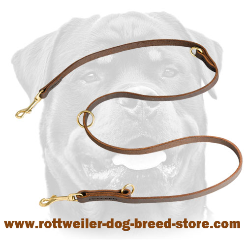 Leather Dog Leash for Training, Walking, Tracking