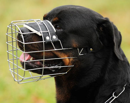 Heavy Duty Durable Metal Wire & Leather Tough Agressive Dog Muzzle 