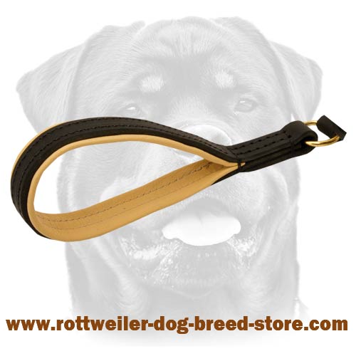 Fine leather leash with handy handle