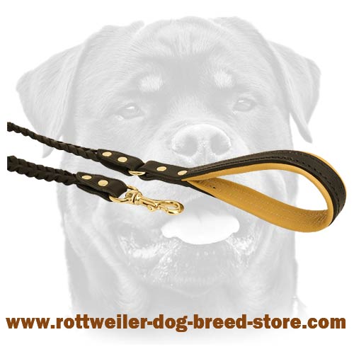 Best leather leash with handle and snap hook