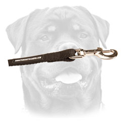 Nylon Rottweiler lead with three brass snap hooks