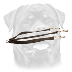 Nylon Rottweiler leash for walking three canines