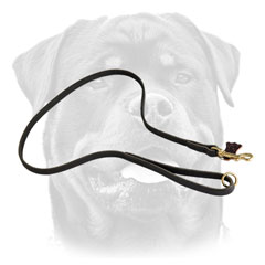 Walking Leather     Rottweiler Leash