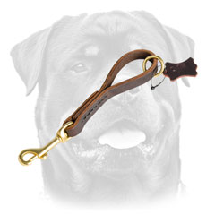 Training Leather Dog Leash For     Rottweiler 