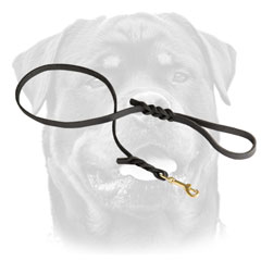 Braided Leather Rottweiler Leash