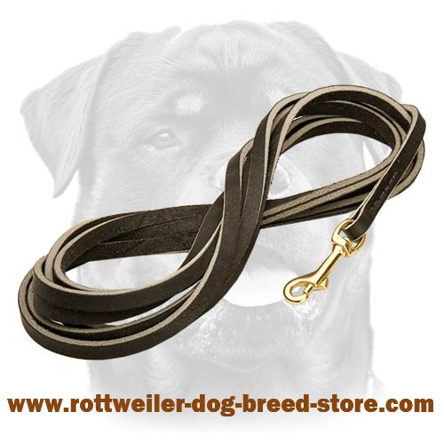 Most durable leather leash 