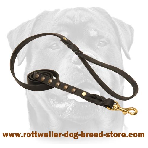 Universal leather leash for large dogs