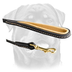 Rustless Snap Hook On Leather     Rottweiler Leash