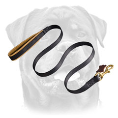 Brass Snap Hook On Nylon Dog Leash For Rottweiler 