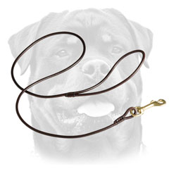 Brass Snap Hook On Leather Dog Leash For     Rottweiler 