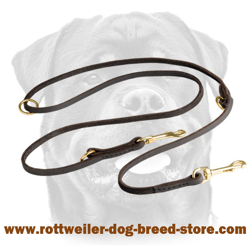 Mulitasking leather dog lead for handling Rottweiler