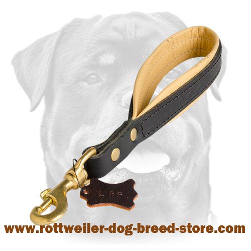 Durable shoert canine leash with comfortable soft handle