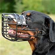 Best Winter Metal Basket Rottweiler Muzzle