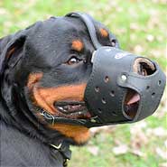 Everyday Rottweiler Leather Dog Muzzle