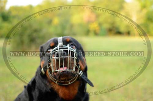 Comfortable Wire Dog Muzzle