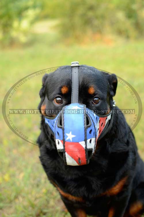 Adjustable Leather Dog Muzzle