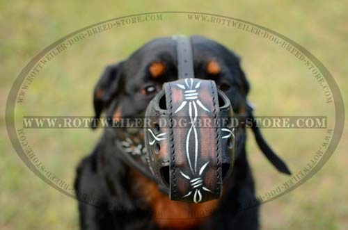 Super Ventilated Rottweiler Muzzle