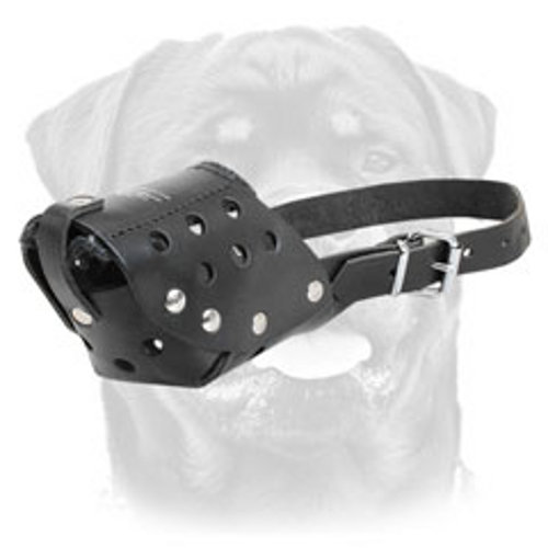 Comfortable leather Rottweiler muzzle