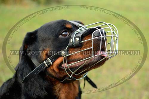 Exclusive Dog Muzzle