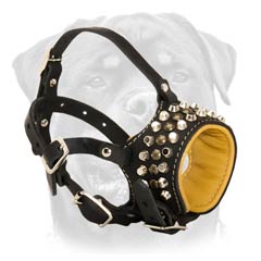Super comfortable leather everyday muzzle