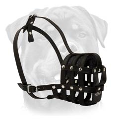 Rottweiler muzzle suitable for numerous purposes