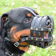 Rottweiler in Light Weight Super Ventilation Muzzle