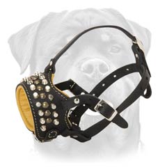 Well-made snug dog muzzle padded with Nappa leather