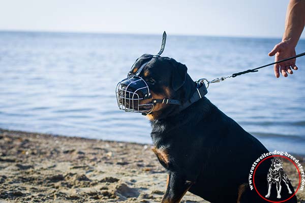 Ventilated Rottweiler muzzle 