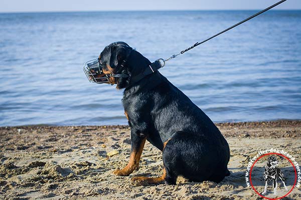 Eas to adjust Rottweiler muzzle 