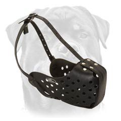 Everyday fine leather dog muzzle 