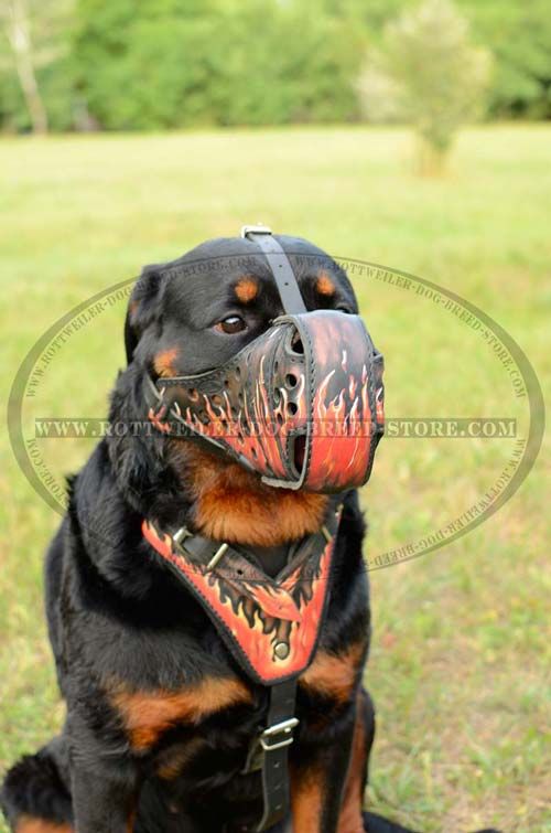 Leather Dog Muzzle with Waterproof Trendy Painting for Training Rottweiler
