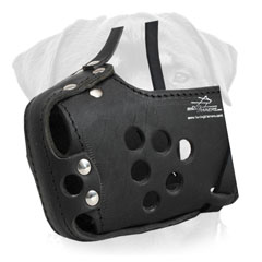 Dog Muzzle Basket Leather Allows Perfect Venilation
