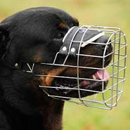 Wire Dog Muzzle for Rottweiler