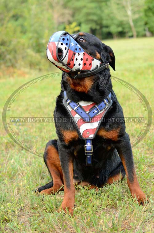 Leather Rottweiler Muzzle Handpainted in USA Flag  Patriotic Outfit