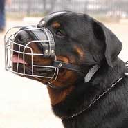 Rottweiler Wire Basket dog muzzle