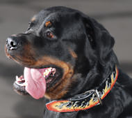 Unique Leather Dog Collar - Hand Painted by Our Gifted Artists - Red Flames