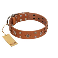 "Dreamy Gleam" FDT Artisan Tan Leather Rottweiler Collar Adorned with Stars and Squares