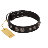 "Tricky Ricky" FDT Artisan Black Leather Rottweiler Collar Adorned with Silver-Like Conchos