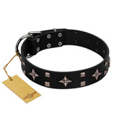 "Snappy Dresser" FDT Artisan Black Leather Rottweiler Collar Adorned with Stars and Tiny Squares