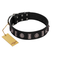 "Silver Spikes" Exclusive FDT Artisan Black Leather Rottweiler Collar
